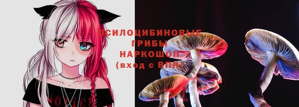 первитин Балахна