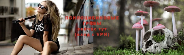 первитин Балахна