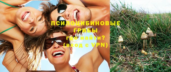 тгк Елизово
